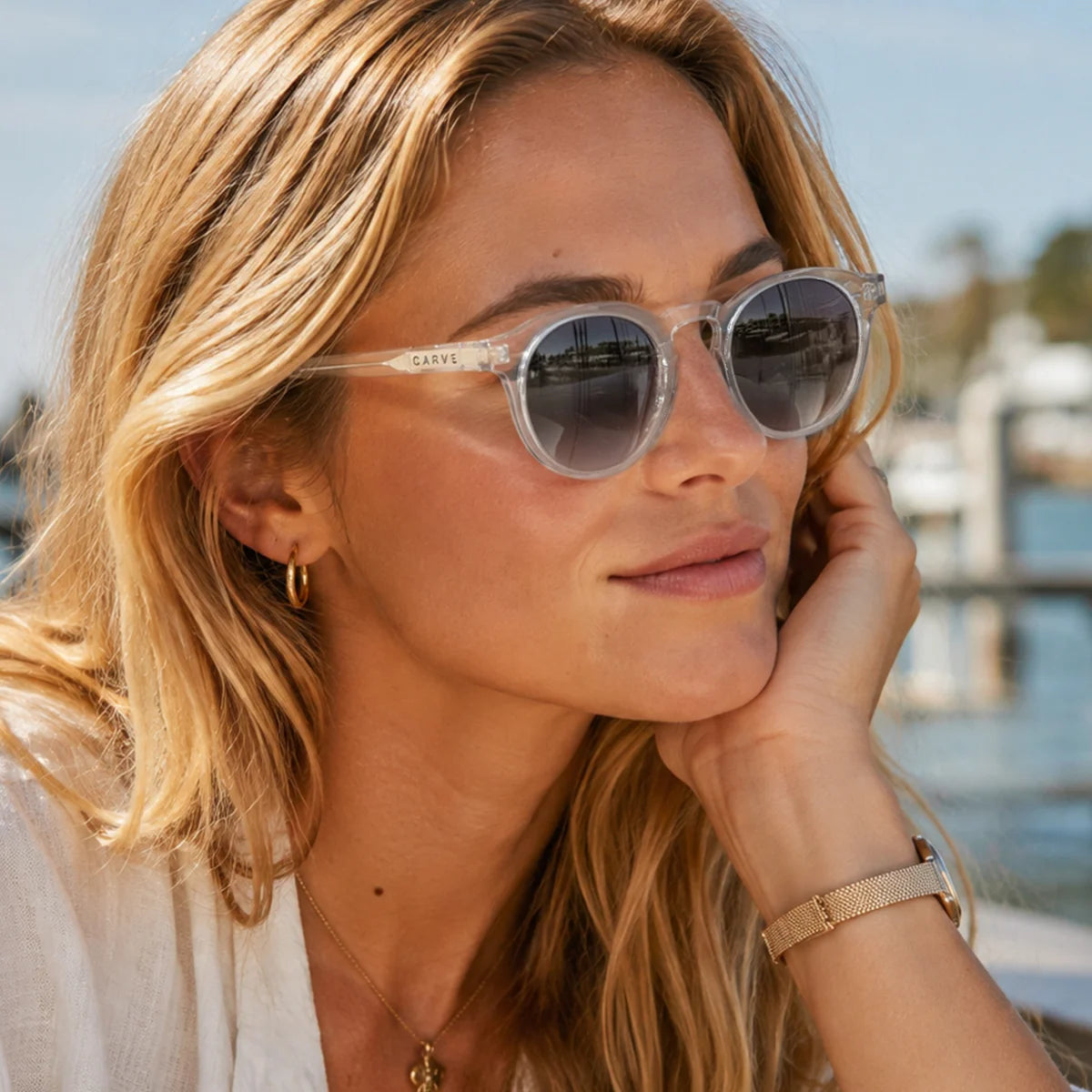 Hudson Sunglasses | Carve