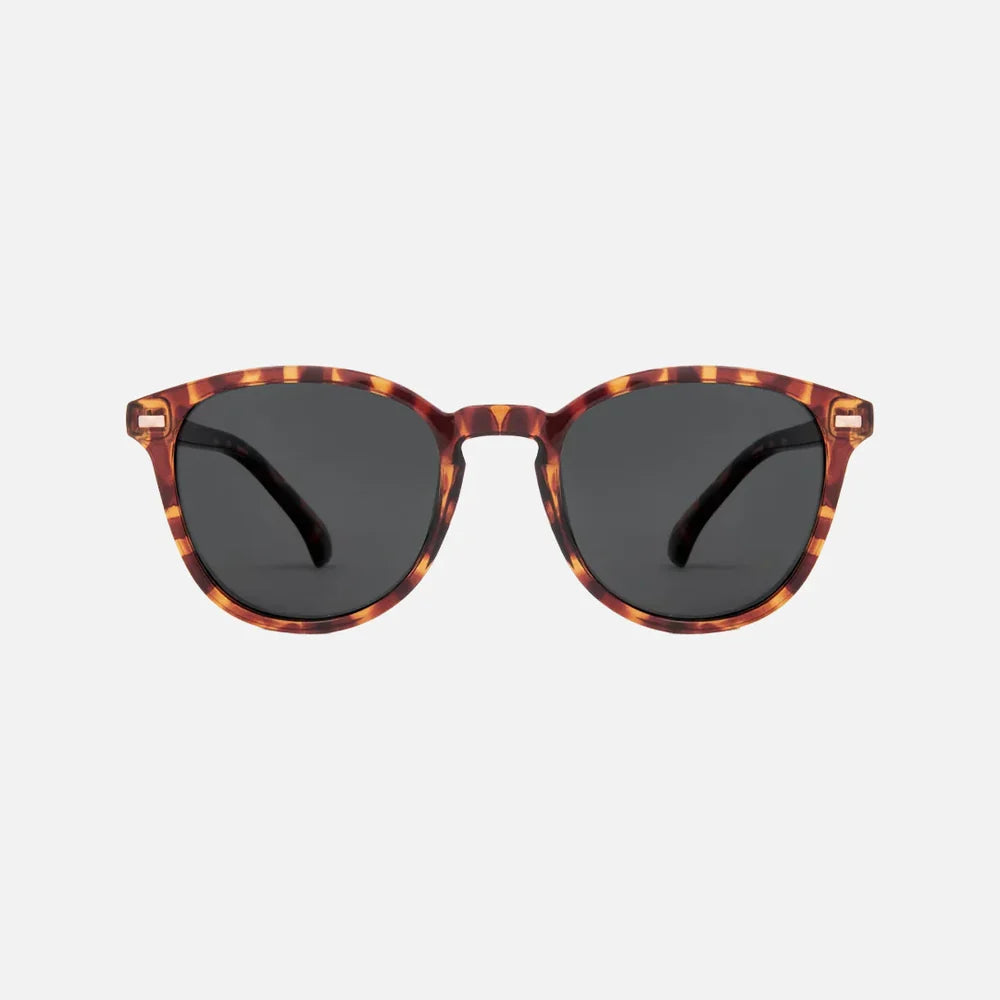 Oslo Polarised Sunglasses | CARVE