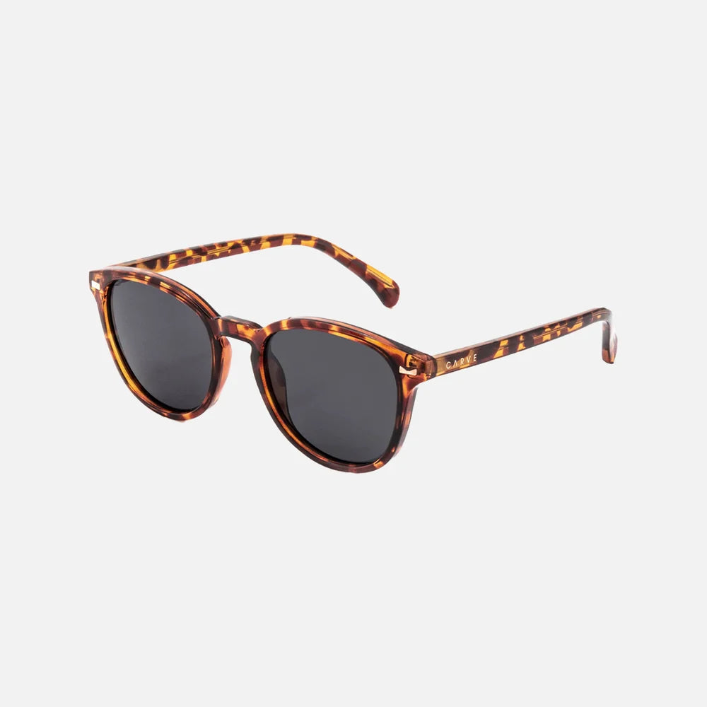 Oslo Polarised Sunglasses | CARVE