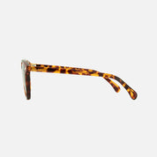Oslo Polarised Sunglasses | CARVE
