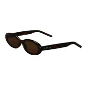 Esme Sunglasses | CARVE