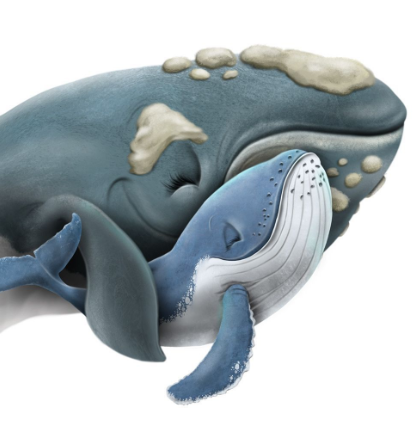 Harper - The Speedy Humpback Whale | Ocean Tales Childrens Book
