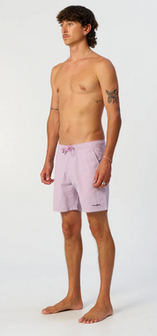 Nucleus 16" Trunk - Washed Purple | The Critical Slide Society